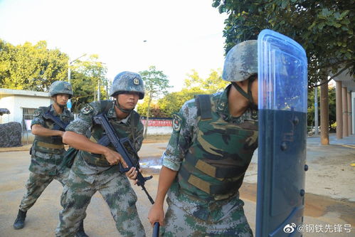 陆军某旅在湛江实兵模拟突发暴恐情况处置演练