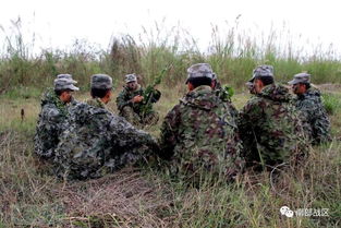 陆军狙击手集训,一卧半天默不吭声,上演真人版 吃鸡