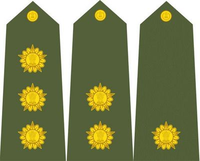 军迷诊所 印度陆军中,怎样识别军官的军衔?