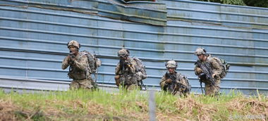 熟悉的装甲车,夏威夷狮国陆军训练高清大图