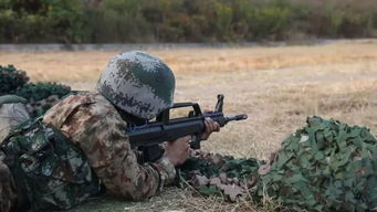 陆军国际学员周 17国军校学员混编同训