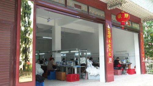 祁阳唐陆军 身体残疾办工厂 带领乡亲共致富