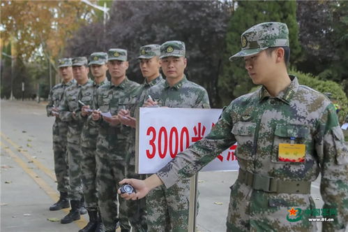 较量丨直击陆军第71集团军的高级士官考核现场