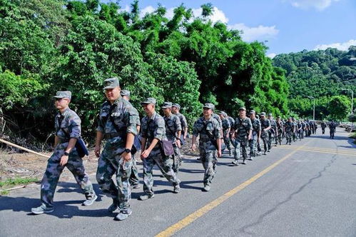 广州陆军预备役某团拉动庆八一 陆军