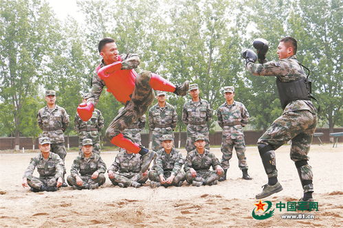 中部战区陆军为战选才 特长兵加速奔向战位