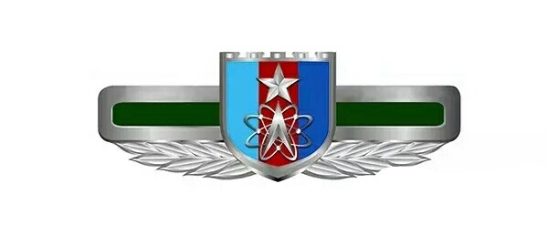 军种胸标